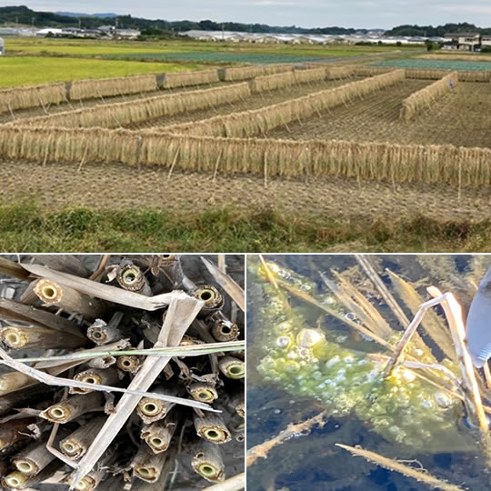 農業の新たな道を一緒に開拓