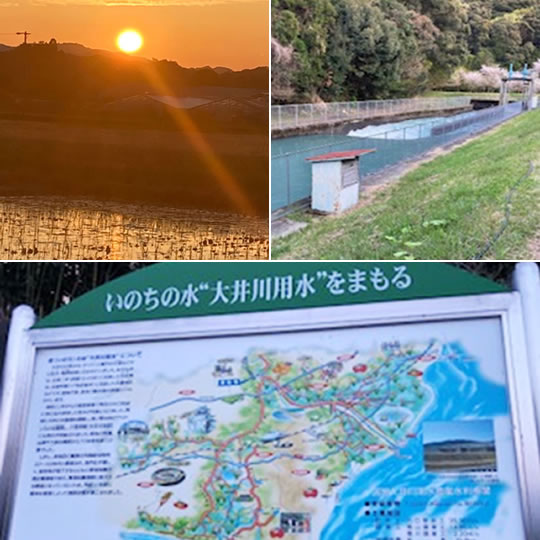 菊川の奇跡